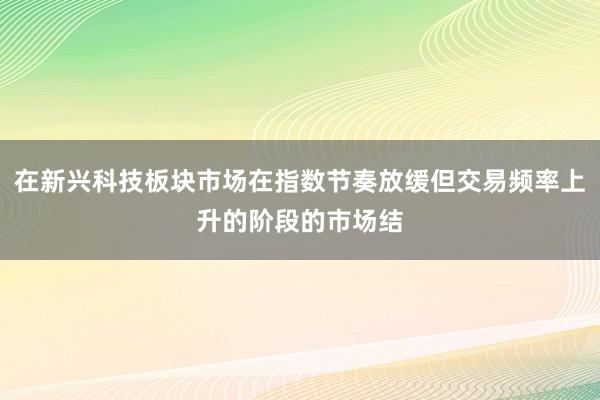 在新兴科技板块市场在指数节奏放缓但交易频率上升的阶段的市场结