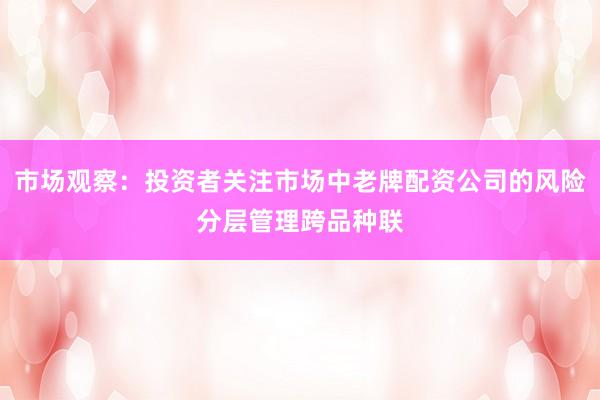 市场观察：投资者关注市场中老牌配资公司的风险分层管理跨品种联