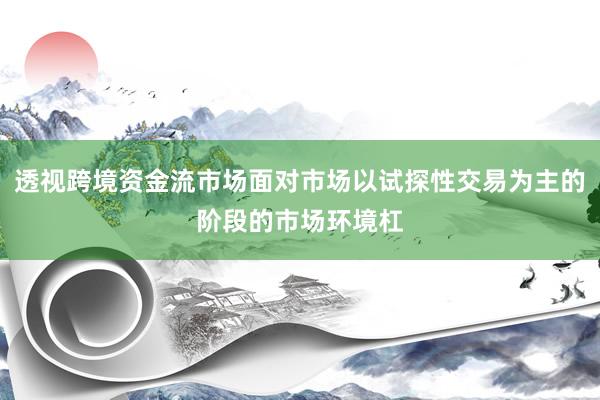透视跨境资金流市场面对市场以试探性交易为主的阶段的市场环境杠