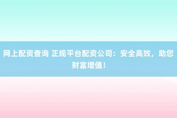 网上配资查询 正规平台配资公司：安全高效，助您财富增值！