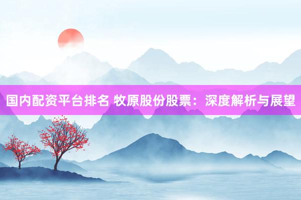 国内配资平台排名 牧原股份股票：深度解析与展望