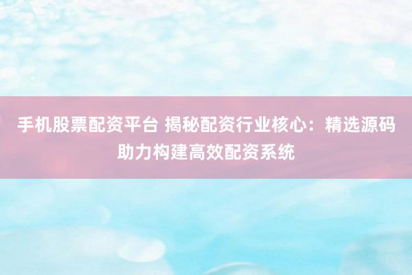 手机股票配资平台 揭秘配资行业核心：精选源码助力构建高效配资系统