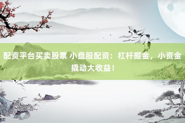 配资平台买卖股票 小盘股配资：杠杆掘金，小资金撬动大收益！